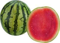 Spanien Wassermelonen
