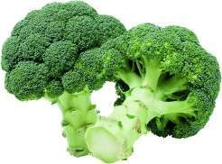 Spanien Broccoli